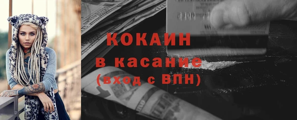 индика Богородицк