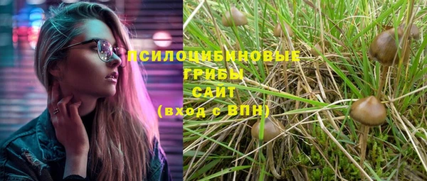 индика Богородицк