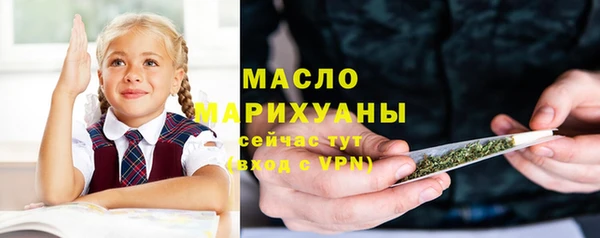 мдпв Богородск