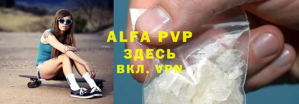 индика Богородицк
