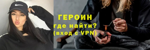 индика Богородицк