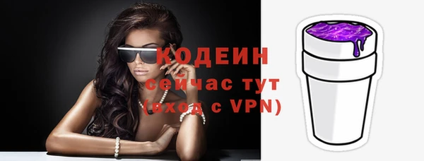 индика Богородицк