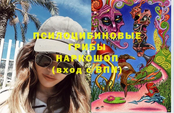 мдпв Богородск