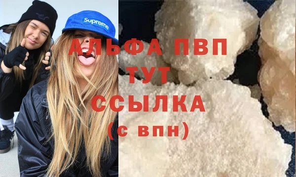 индика Богородицк