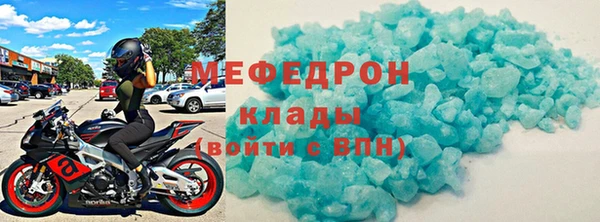 индика Богородицк