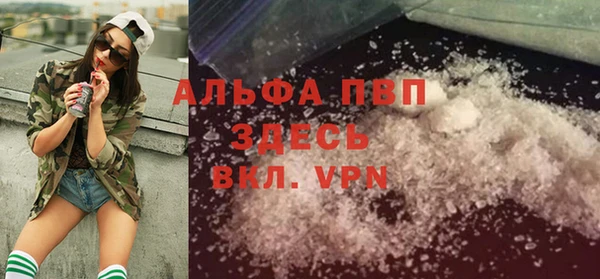 крисы Белокуриха