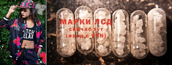 эйфоретик Богданович