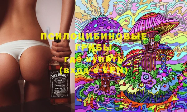 крисы Белокуриха