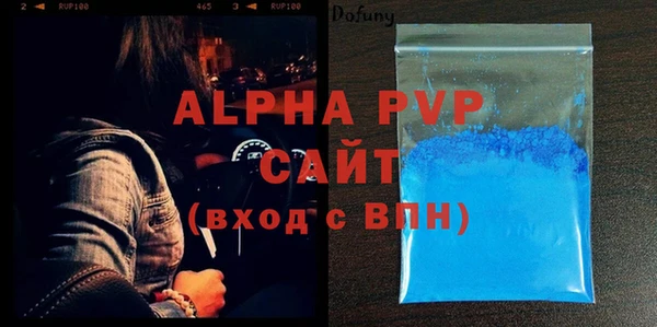 индика Богородицк