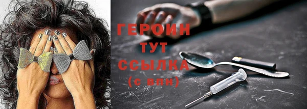 индика Богородицк